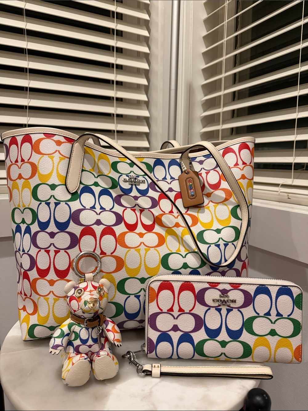 NWOT FULL SET: Coach Pride City Tote, Zip Wallet, & Bear Charm in Rainbow Canvas